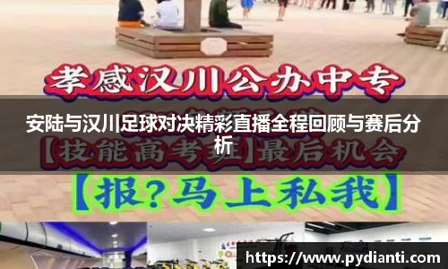 安陆与汉川足球对决精彩直播全程回顾与赛后分析