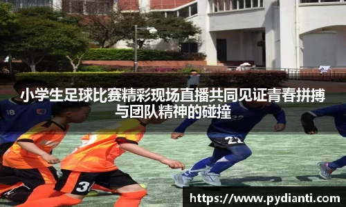 小学生足球比赛精彩现场直播共同见证青春拼搏与团队精神的碰撞