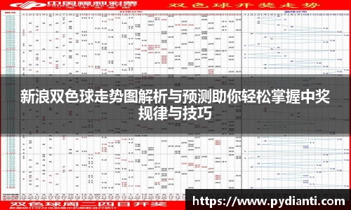 新浪双色球走势图解析与预测助你轻松掌握中奖规律与技巧