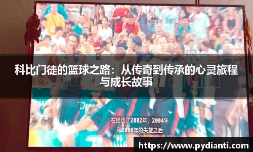 威廉希尔williamhill全站