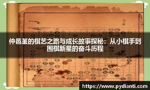 仲邑堇的棋艺之路与成长故事探秘：从小棋手到围棋新星的奋斗历程