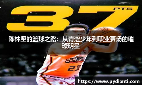 陈林坚的篮球之路：从青涩少年到职业赛场的璀璨明星