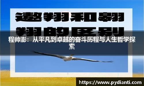 程帅澎：从平凡到卓越的奋斗历程与人生哲学探索