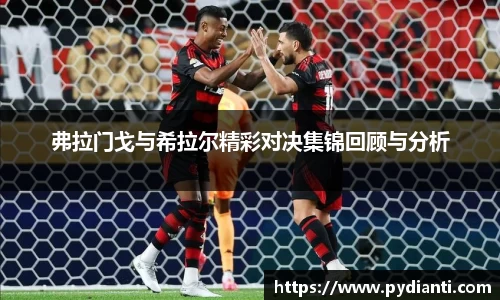 弗拉门戈与希拉尔精彩对决集锦回顾与分析